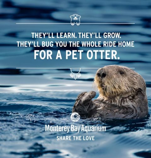 Monterey1