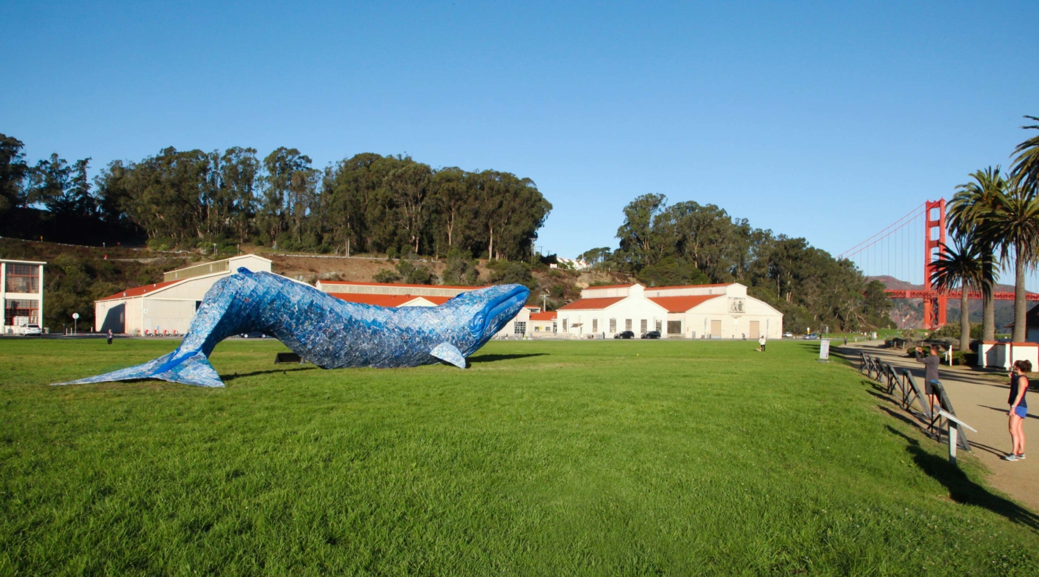 05_MBA_BlueWhale_Carousel_3