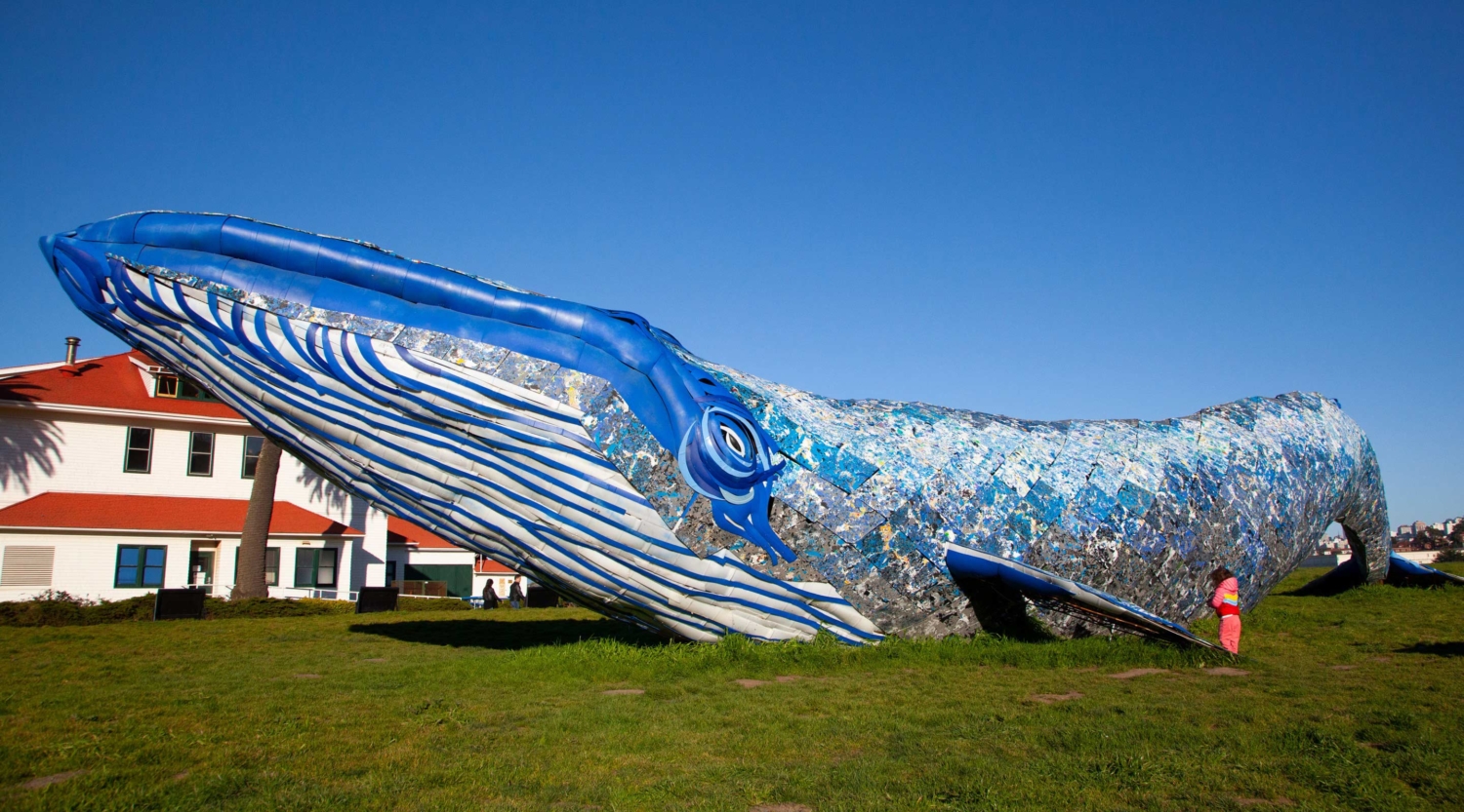 05_MBA_BlueWhale_Carousel_4