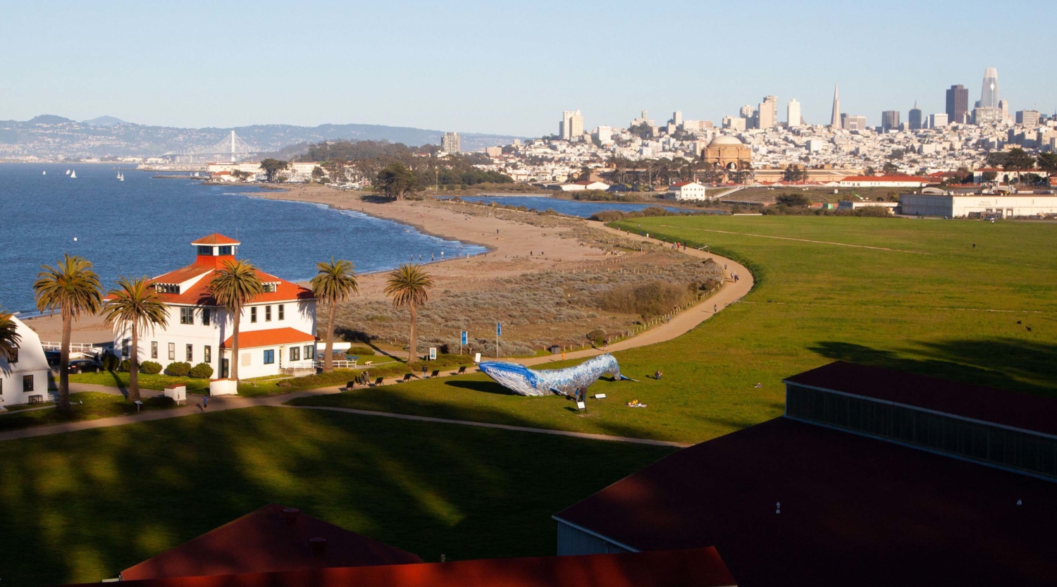 05_MBA_BlueWhale_Carousel_5