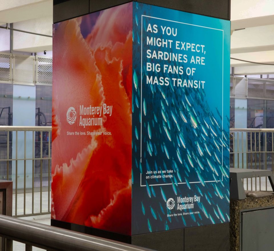 MBA_CivicCenter_ColumnWrap_Sardinesjpg