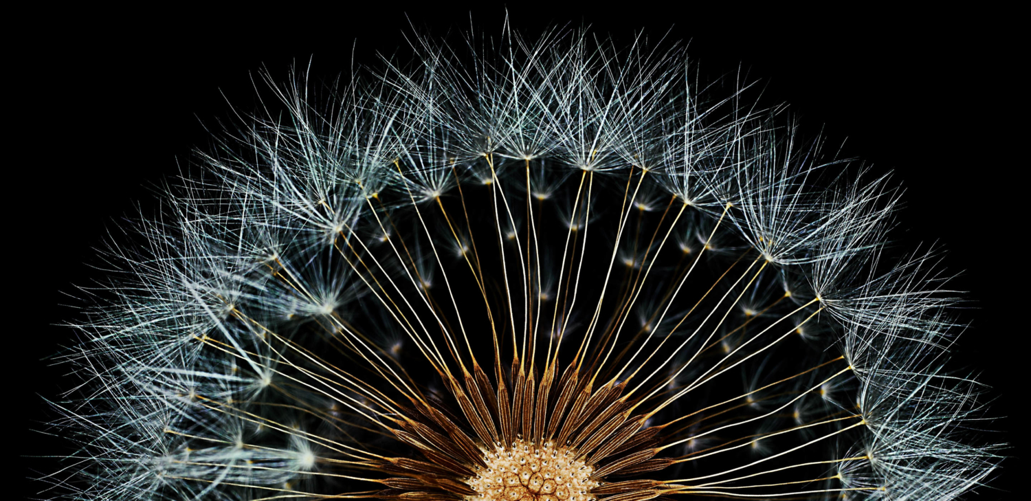 00_2ME_Brand_Hero-Mobile