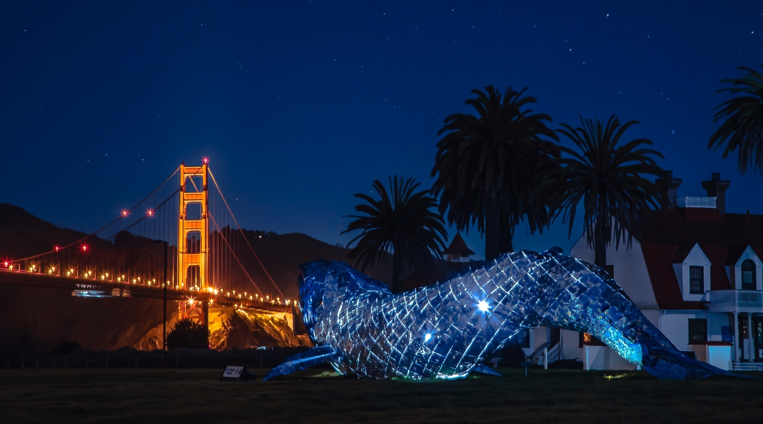 05_MBA_BlueWhale_Carousel_1