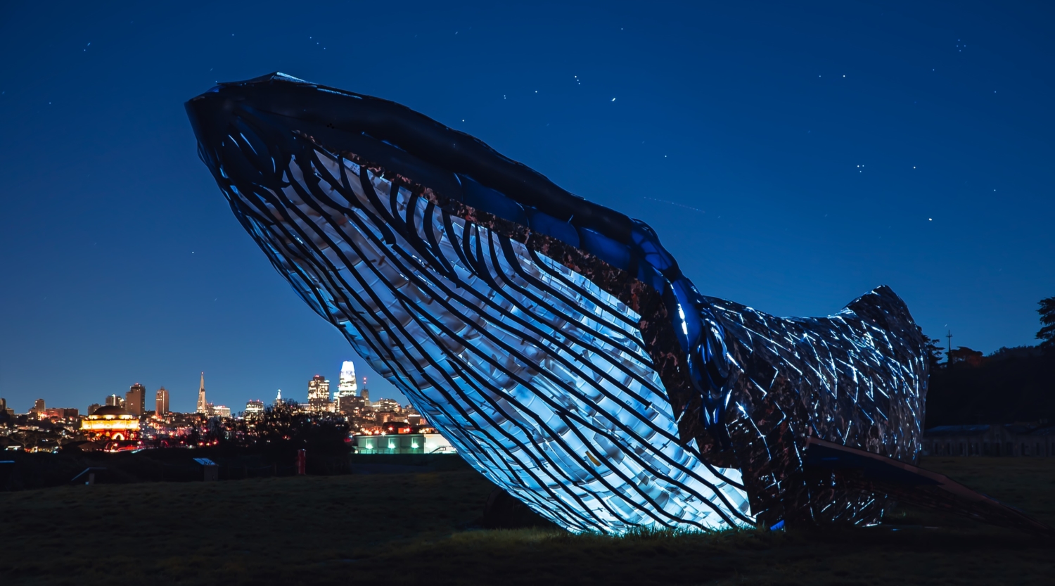 05_MBA_BlueWhale_Carousel_2