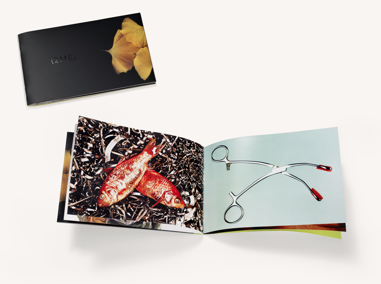 07_2ME_Promo_Promo-2