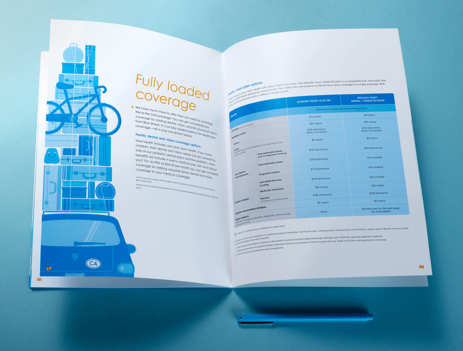 08_BlueShield_Print_3