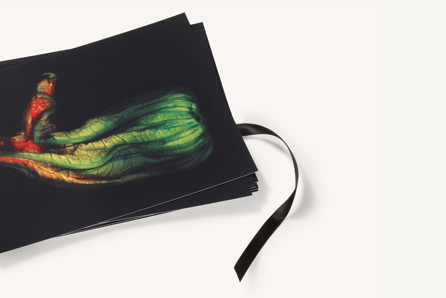 09_2ME_Promo_Promo-4