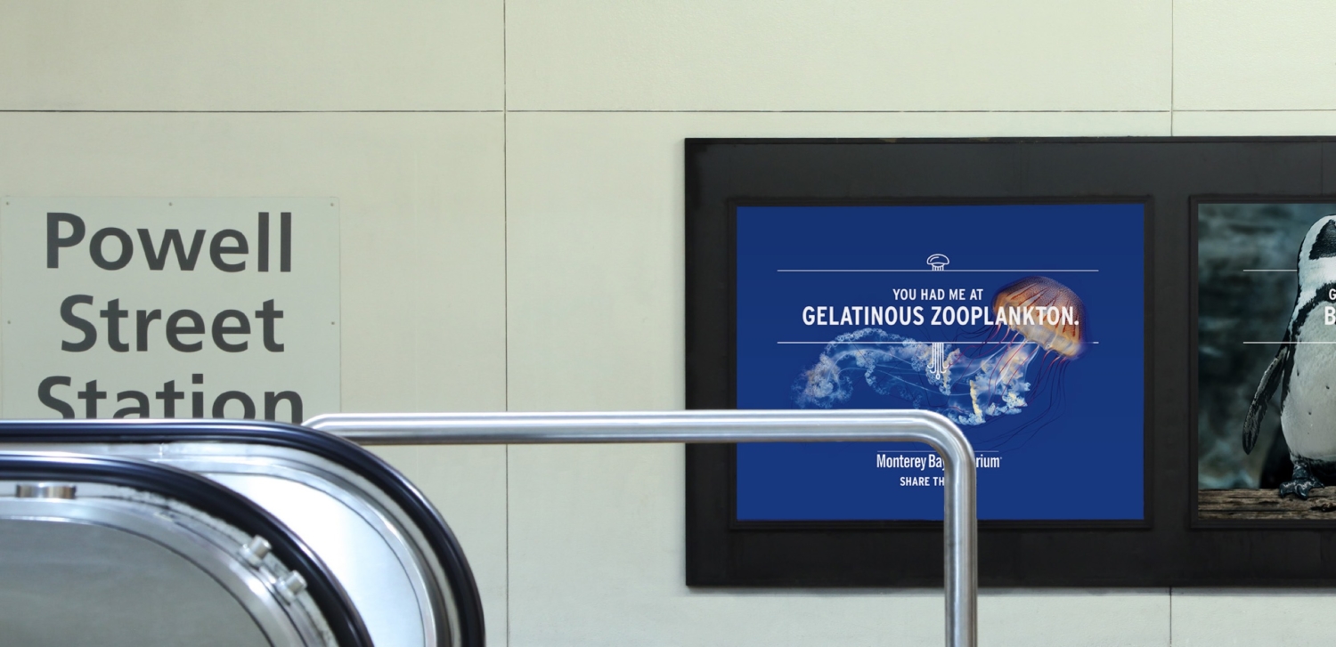 09_MBA_OOH_Zooplankton