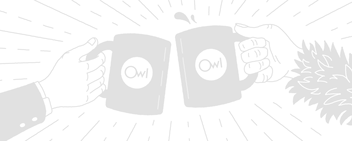 12_Owl_WebHero_Illus-01