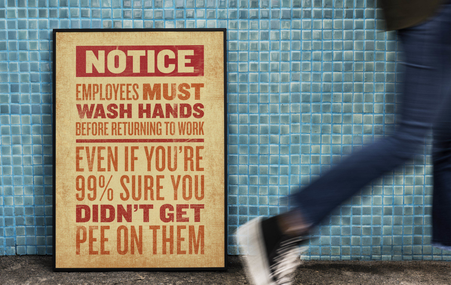 Decorative frame displays