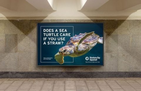 EENHPSZNARBELEEGKLDIOSC4ZA