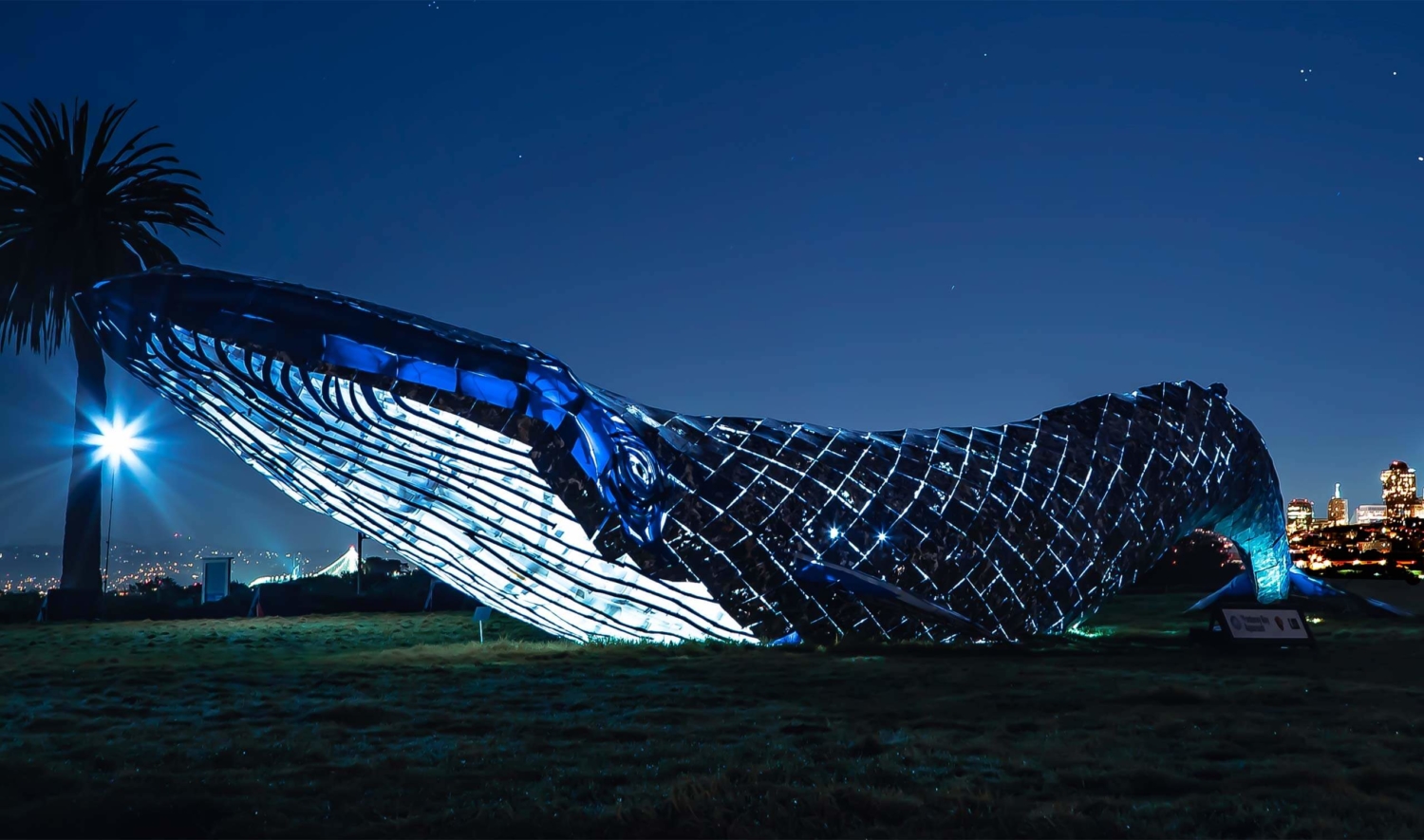 MBA_NightWhale_2560x1510